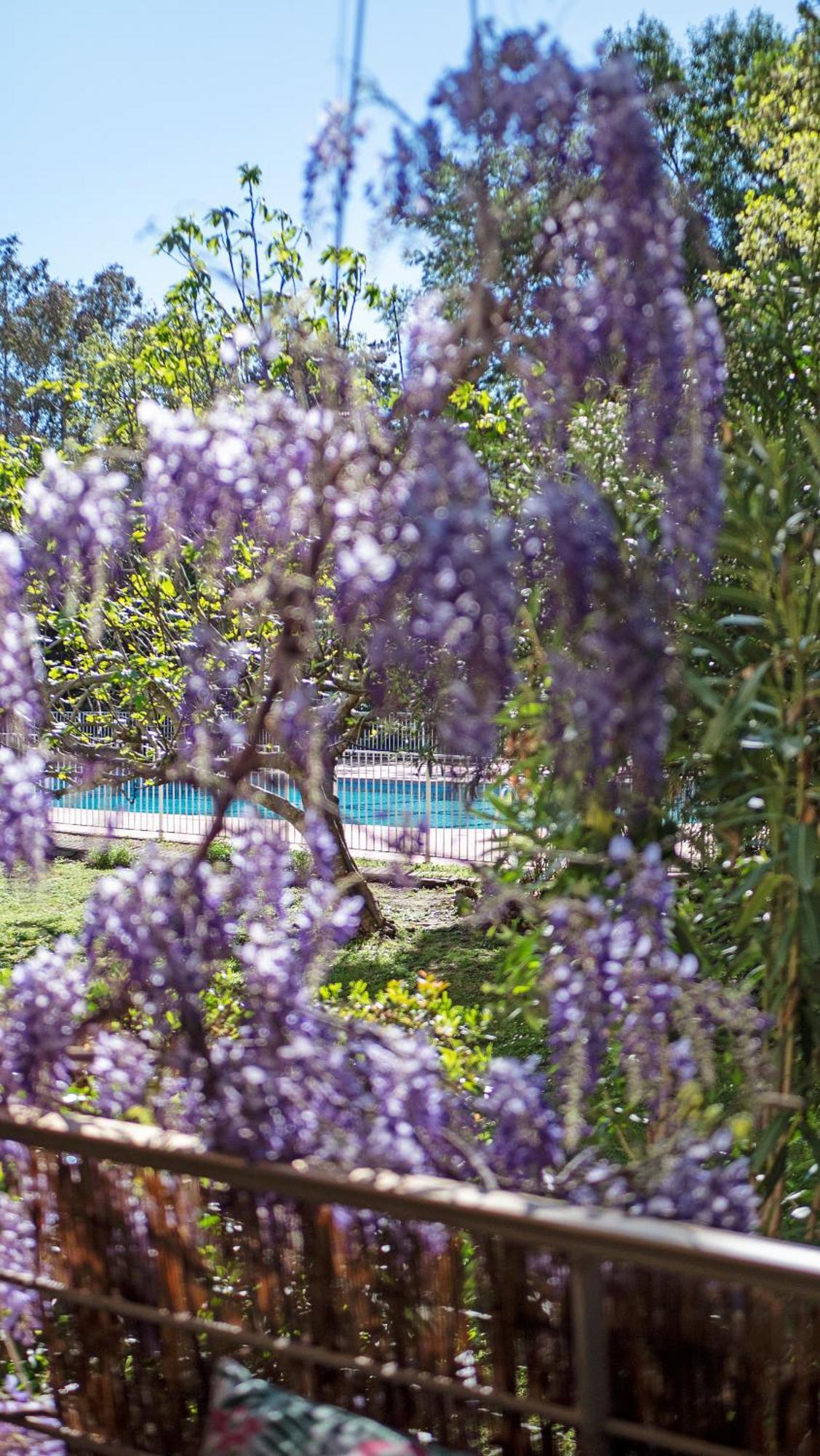 サントロペCasa Laura -Parking - Poolアパートメント エクステリア 写真